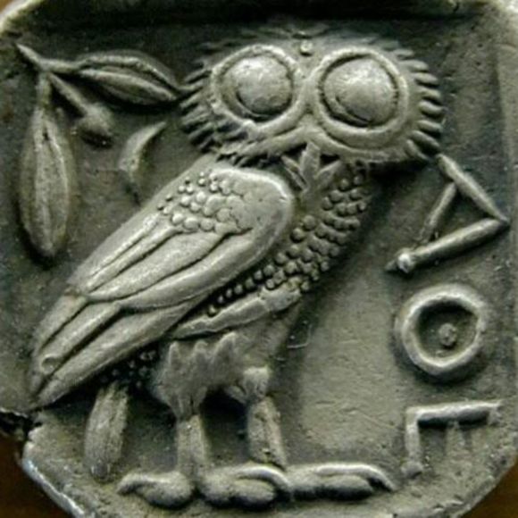 Meet your Posher, Sharon - Picture 1 of 1